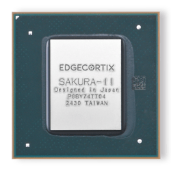 SAKURA-II-chip-silver